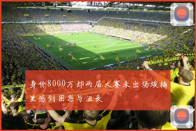 身价8000万却两届大赛未出场埃梅里感到困惑与沮丧